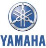 logo4.jpg