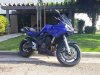 fz6.jpg