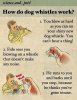How_do_dog_-_16-06-2012.jpeg