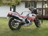 fz600.jpg