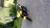 20150825_183708.jpg