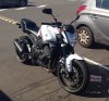 FZ1 White.jpg