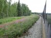 IMG_0451.jpg