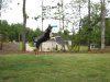 catch.jpg