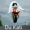 Dukati.jpg