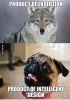 Evolution.jpg
