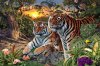 How%u00252BMany%u00252Btiger%u00252Bare%u00252Bin%u00252Bthe%u00252Bimage.jpg