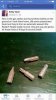 strange_bullets.jpg