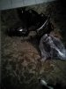 IMG_20160114_170129.jpg