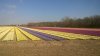 WP_20160410_16_54_13_Pro.jpg WP_20160410_16_54_13_Pro.jpg