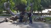 20160619_111600_sm.jpg