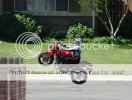 SherriWheelies.jpg