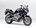 fz6fazer.jpg