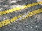 2547331664_9730cf86e6_b.jpg