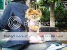 Dog-Carrier.jpg Dog-Carrier.jpg