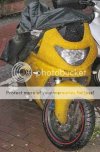 Furry-bike.jpg