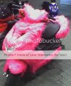 Furry-Scoot.jpg