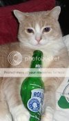 CUBBZANDBEER.jpg
