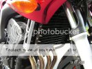 PICT0011.jpg