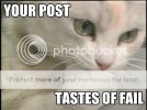 LolCatRenderer-41.jpg