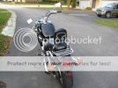 IMG_5305.jpg IMG_5305.jpg