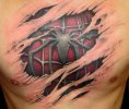 spidey_tattoo_1.jpg spidey_tattoo_1.jpg