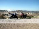 IMG_0193.jpg