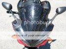FZ6Bugs1.jpg