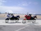 DSC08856.jpg