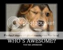 MotivationalWhosAwesome.jpg