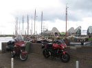 IMG_2392.jpg