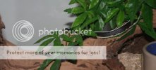 IMG_2970s.jpg IMG_2970s.jpg