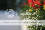 IMG_4358.jpg IMG_4358.jpg