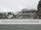 IMG_2767.jpg