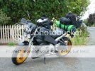 MotoGP08.jpg
