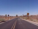 Joshua_Tree_National_Park_10082.jpg