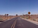 Joshua_Tree_National_Park_10083.jpg Joshua_Tree_National_Park_10083.jpg