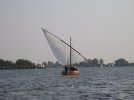 IMG_3383.jpg