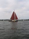 IMG_3379.jpg