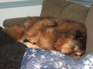 IMG_0655.jpg