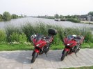 IMG_0504.jpg