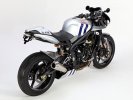 triumph-street-tripl-1w.jpg