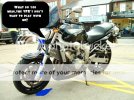 FZ63-1.jpg