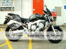 FZ61.jpg