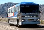 GreyhoundBus_300x210.jpg GreyhoundBus_300x210.jpg