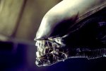 alien1.jpg alien1.jpg
