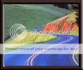 framedcroppedpaintedcopy.jpg framedcroppedpaintedcopy.jpg