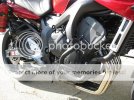 IMG_4223.jpg