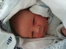 iPhone_20100504_157_Small.jpg