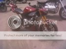 R1Streetfighter.jpg